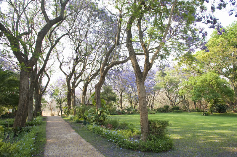 Hotel Nesbitt Castle Bulawayo Exteriér fotografie